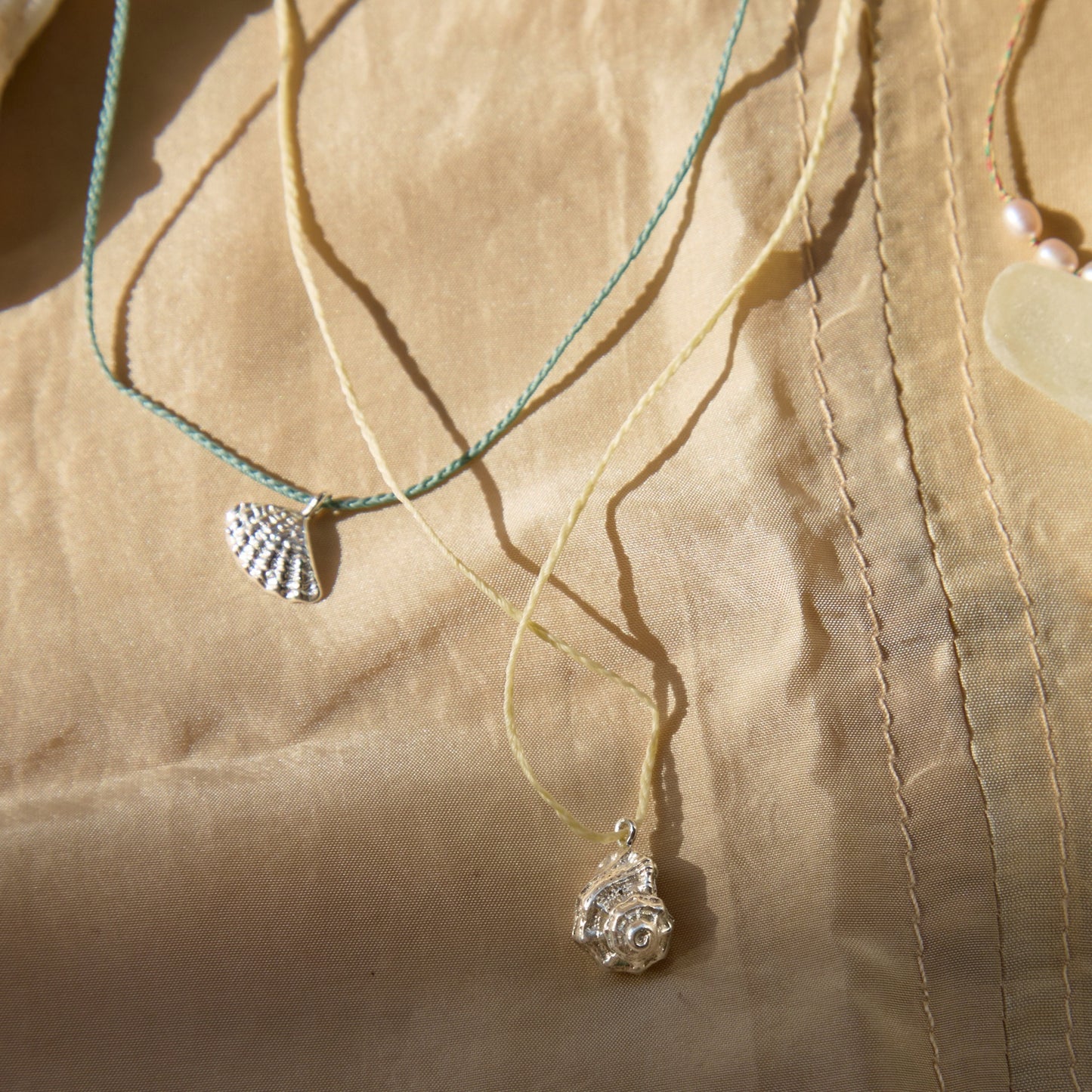 Cardita Necklace Jewel Rocks