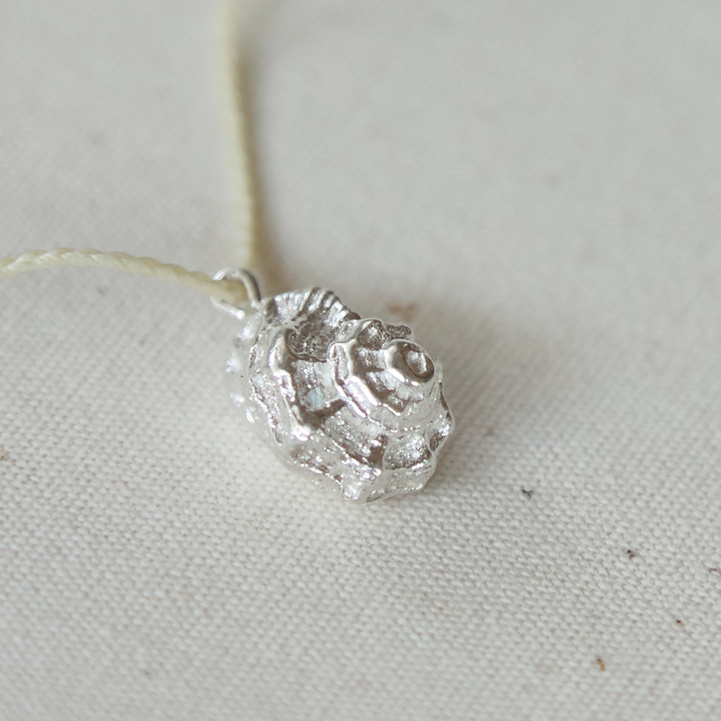 Mollusca Necklace - Jewel Rocks