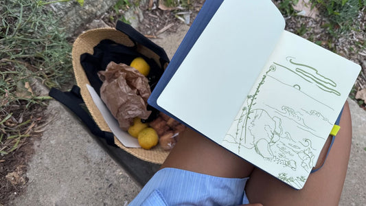Blog Post Jewel Rocks - Drawing in nature