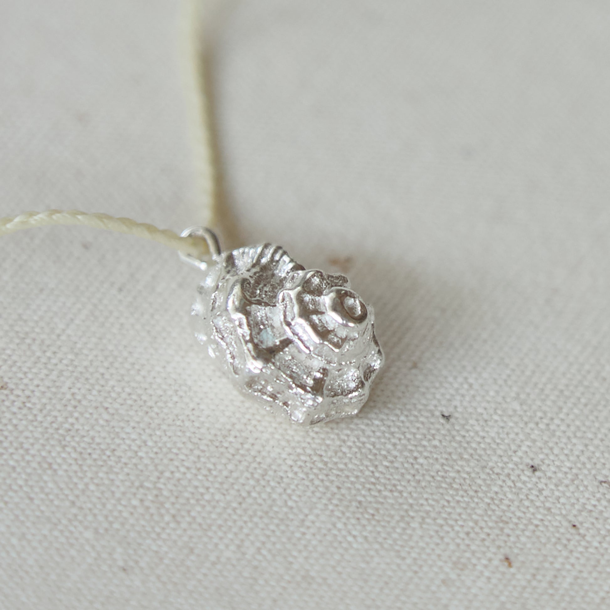 Mollusca Necklace - Jewel Rocks