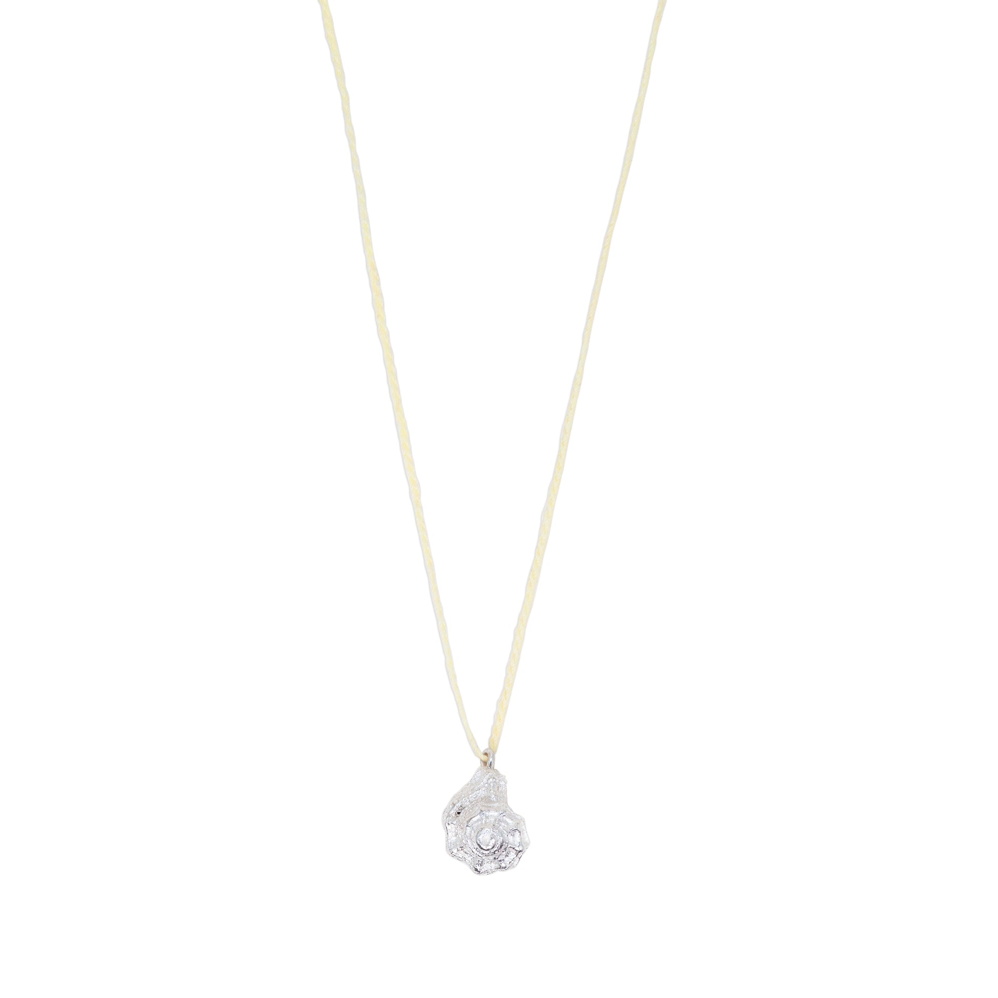 Mollusca Necklace - Jewel Rocks