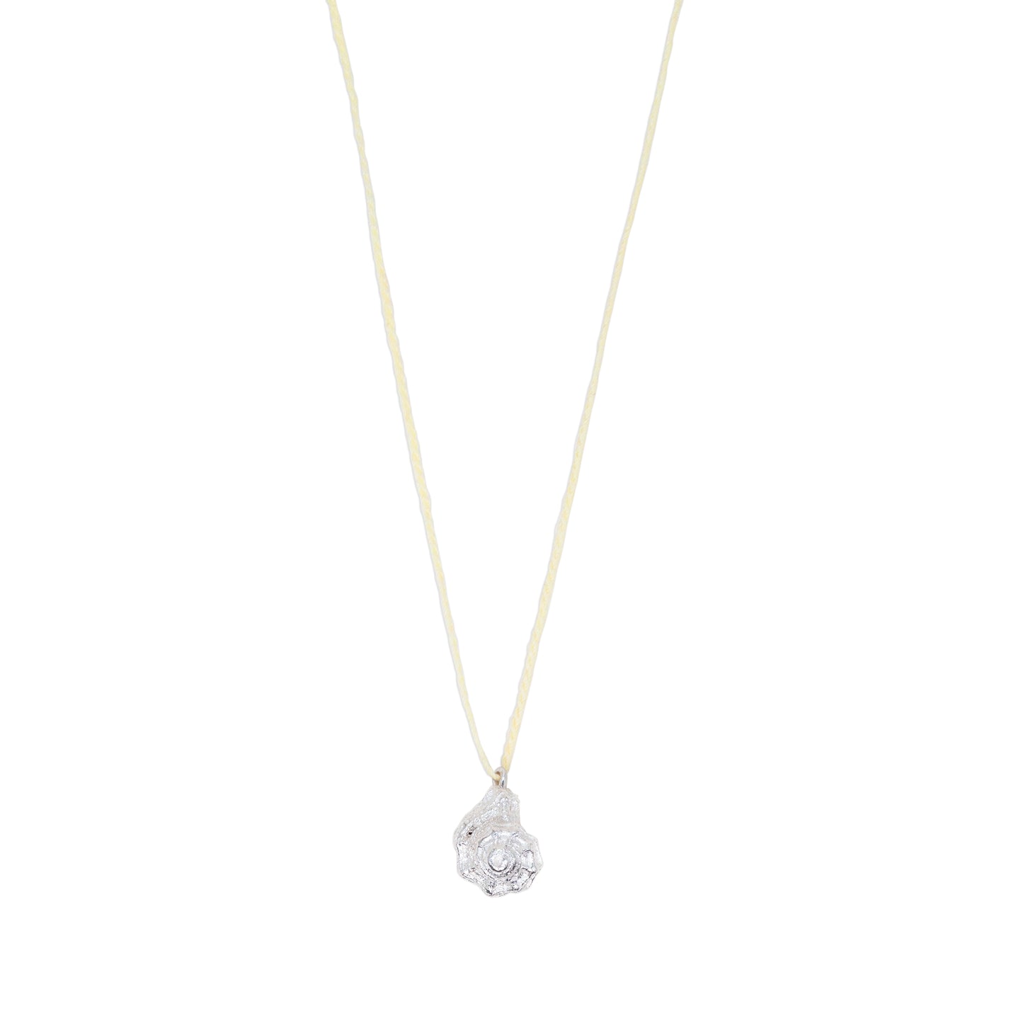 Mollusca Necklace Jewel Rocks
